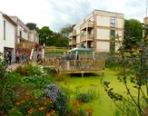 Eco-friendly co-operative paradise